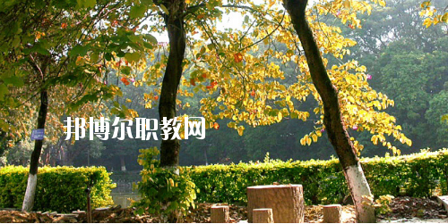 廣西民族中等專業學校怎么樣、好不好