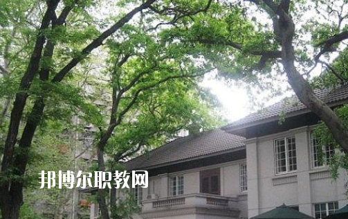 湖北藝術學校4