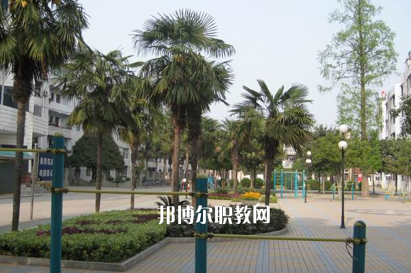 襄城區(qū)職業(yè)高級(jí)中學(xué)4