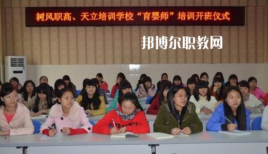 瀘州市樹風職業高級中學校地址在哪里