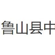 魯山縣中等專業學校