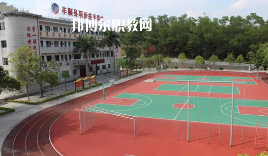 豐順縣職業技術學校2020年招生錄取分數線