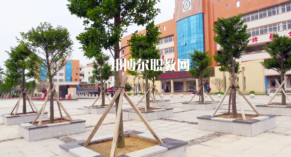 信宜職業技術學校2020年招生錄取分數線