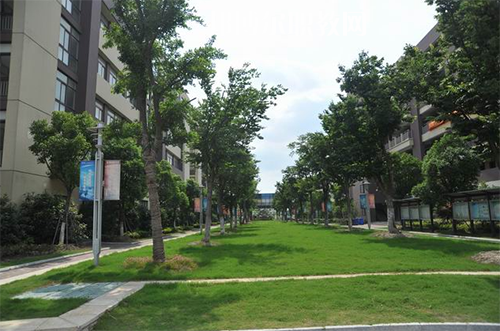 昆山花橋國際商務城中等專業學校怎么樣、好不好