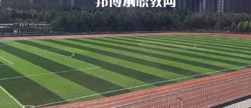 大方縣綜合職業技術學校網站網址