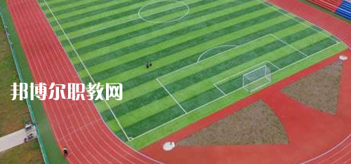 紫云民族職業技術中學網站網址