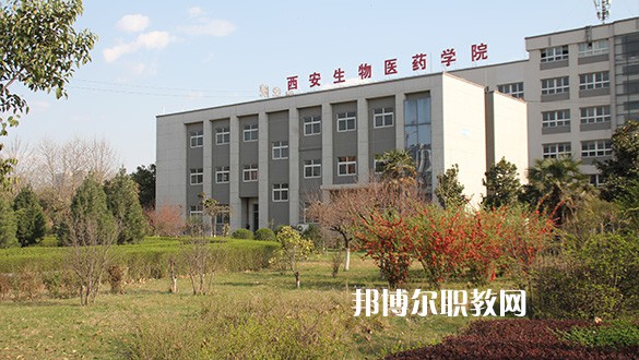 陜西2021年中學畢業讀什么衛校