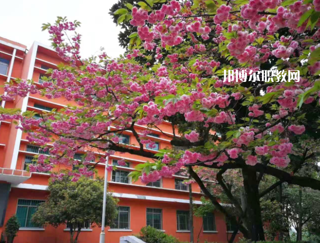 貴州特殊教育中等職業(yè)技術(shù)學校2022年學費、收費多少
