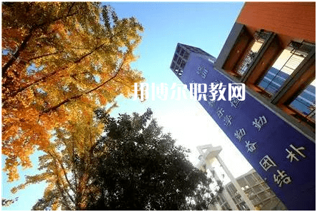 邯鄲第四職業中學地址在哪里