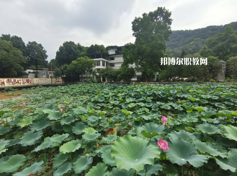 重慶人文藝術職業學校2022年招生簡章