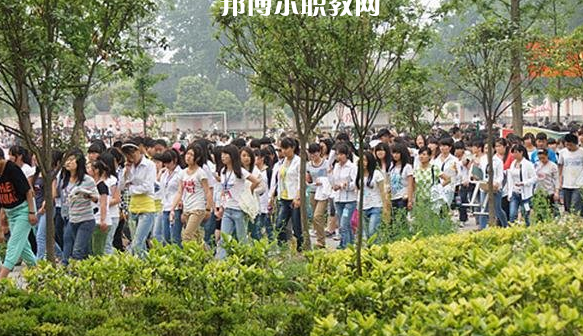 綏江縣職業高級中學2022年招生簡章