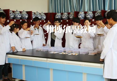 云南2022年讀衛校一年要多少錢