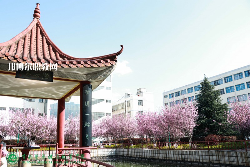 邯鄲永年衛生學校2022年網站網址