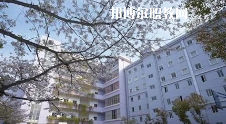 武漢體育舞蹈藝術(shù)學(xué)校2022年怎么樣、好不好