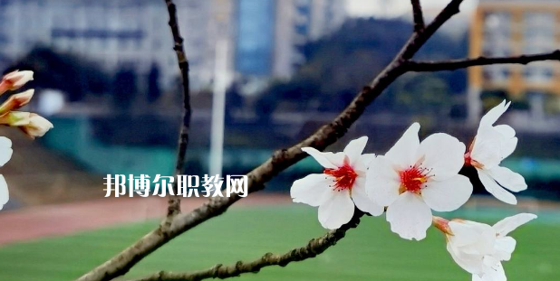 2023眉山技師學院招生計劃 招生人數是多少(附要求、條件、對象)