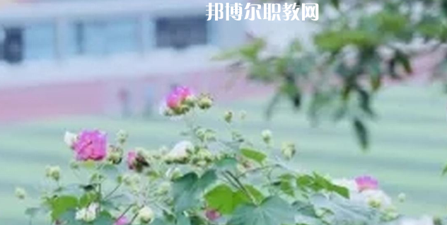 眉山技師學院地址在哪里，哪個地區，哪個城市?