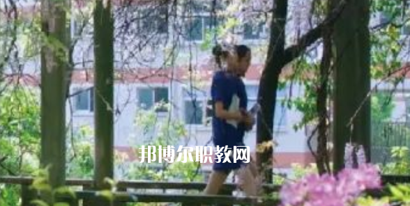 2023金華市成功學校招生計劃 招生人數是多少(附要求、條件、對象)