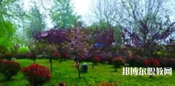 2023隆堯縣職業(yè)技術(shù)教育中心招生計劃 招生人數(shù)是多少(附要求、條件、對象)