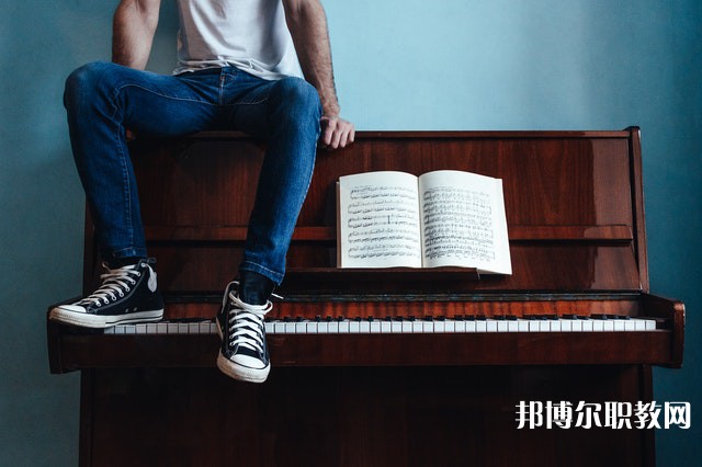 淮南市白天鵝藝術職業中專學校有哪些招生專業（2023年）
