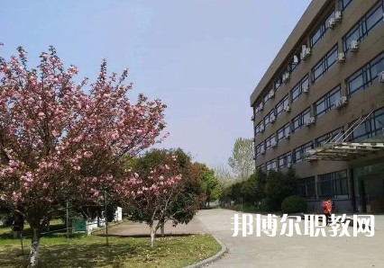 浙江新世紀經貿專修學院2023年招生錄取分數線（2024參考）