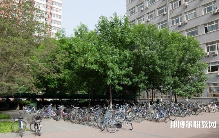 寶塔區職業教育中心2023年招生錄取分數線（2024參考）