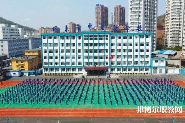 2024丹東市中醫藥學校招生計劃 招生人數是多少(附要求、條件、對象)